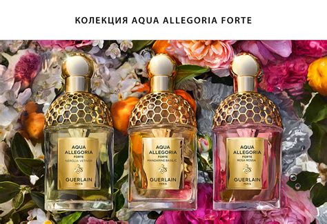 Путеводитель по каждому парфюму Guerlain Aqua Allegoria.